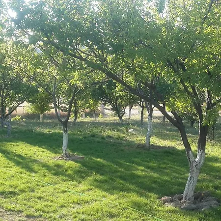 Campsite Atlitur Cappadocia Mustafapasa
