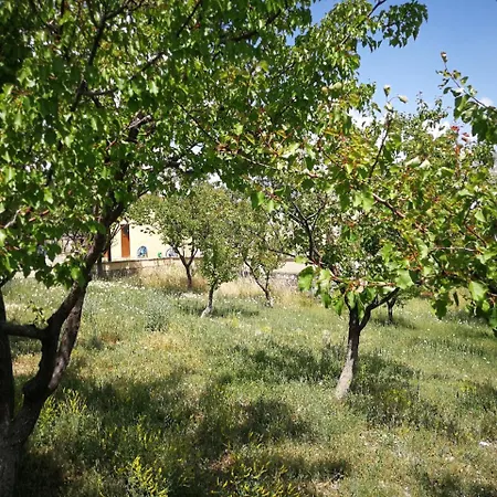 Campsite Atlitur Cappadocia Mustafapasa